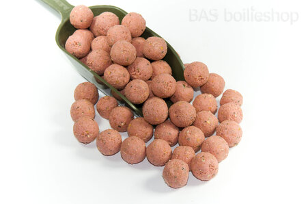 Eigenes Recept Boilies / ab 25 kilo Boilies