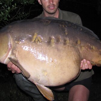 BasBoilies Grand Prestige
