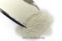 Zwiebel Powder (foodgrade) / kilo_